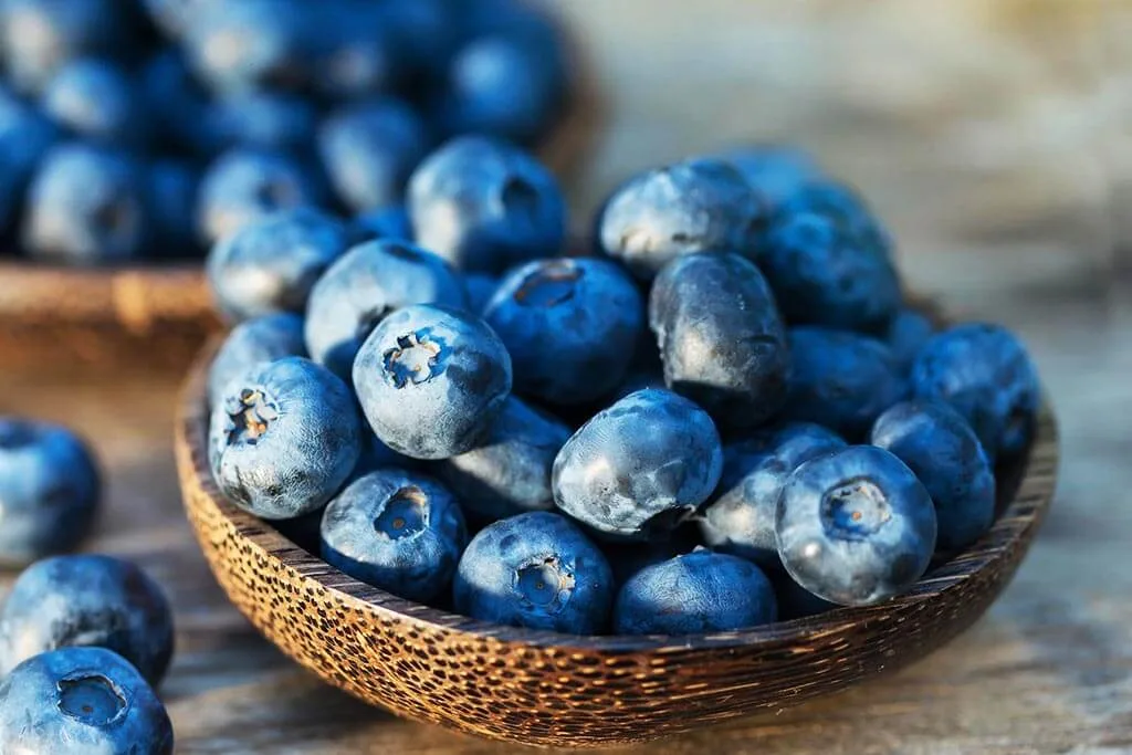 Can Blueberries Protect Heart Health?