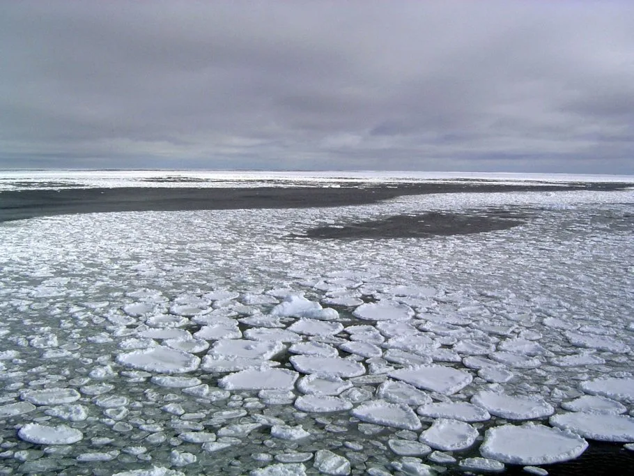 Floating Antarctic Ice Goes From Record High to Record Lows