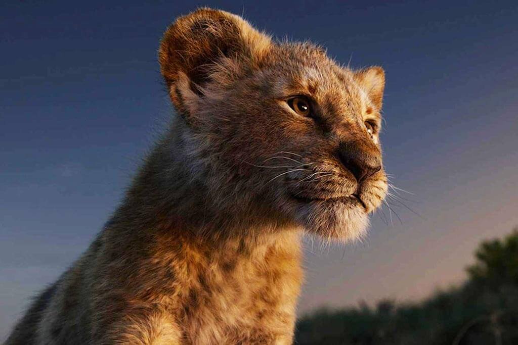 Disney's The Lion King Review