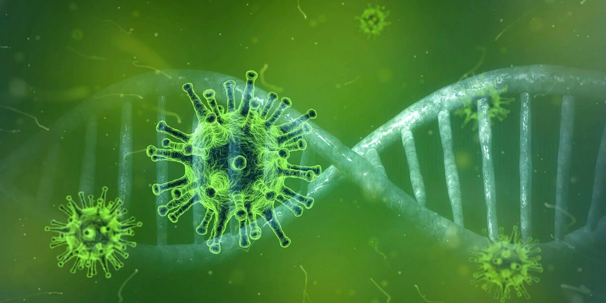 Does Coronavirus end with herd immunity?