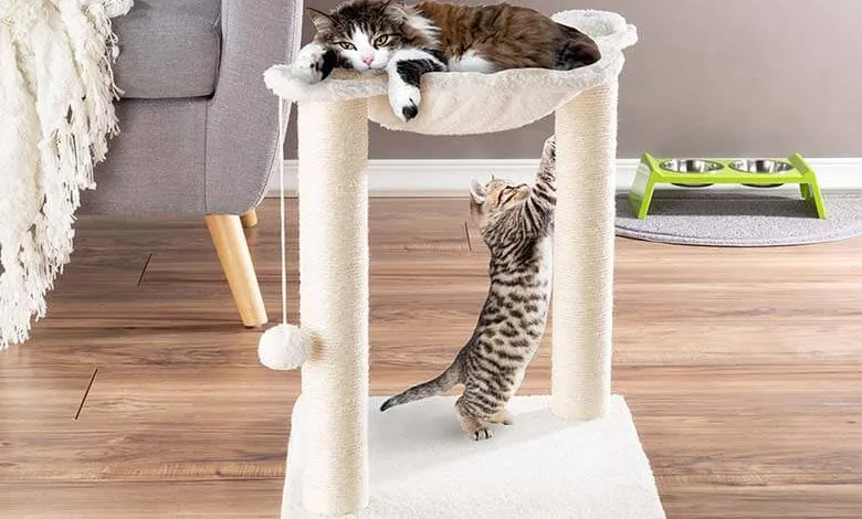 Kedi Tırmalama / Kedi Tırmanma Stantları