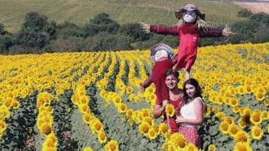 Trakya agro turizm alanında öne çıkmaya başladı.