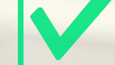 Understanding the Significance of a Single Checkmark in WhatsApp