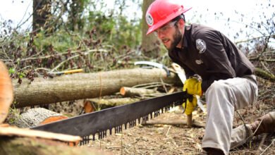 Choosing the Perfect Saw for Every Woodworking Cut