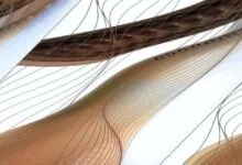 200 Years of Synesthesia: A Concise Overview