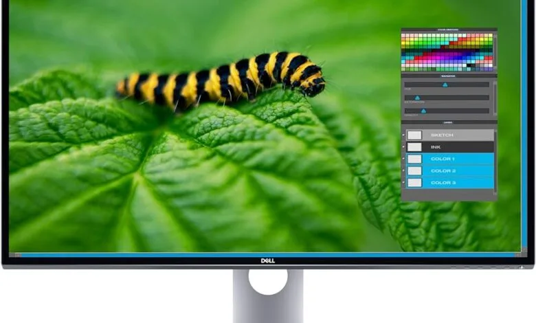 Top-rated Video Editing Monitors of 2023